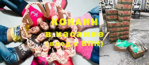 твердый Аркадак