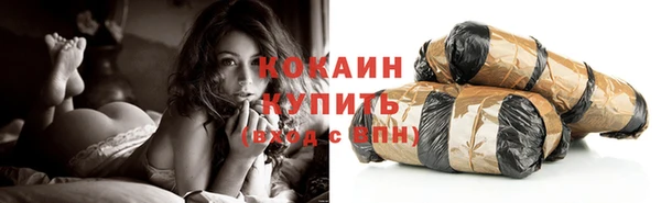 твердый Аркадак