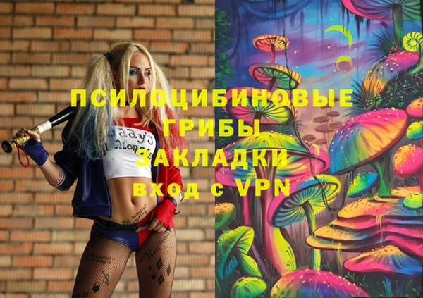 твердый Аркадак