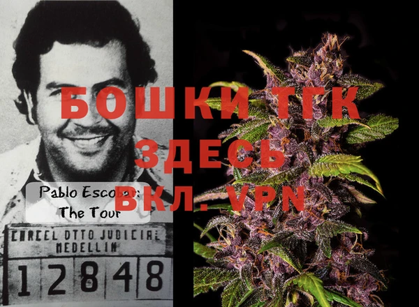 твердый Аркадак