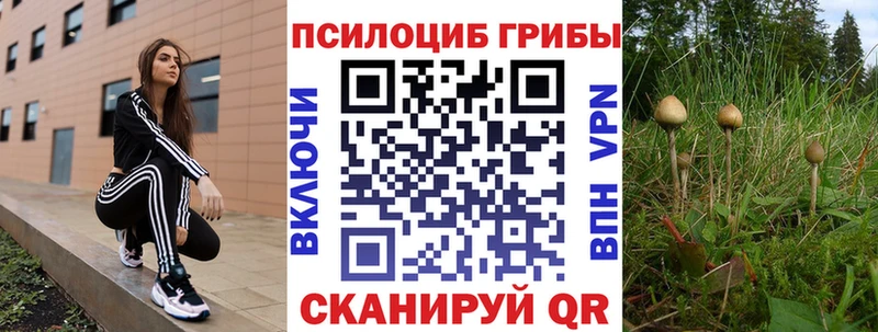 Псилоцибиновые грибы Psilocybe  Моршанск 